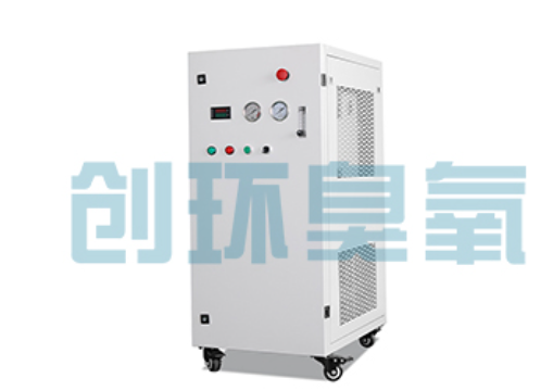 双滦石斑鱼养殖水质调控完整指南：臭氧发生器配置与操作步骤