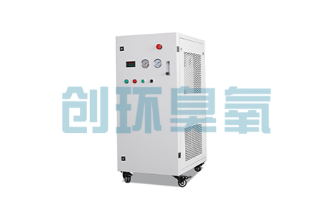 双滦比传统换水更高效？臭氧发生器在石斑鱼养殖中的水质净化原理解析
